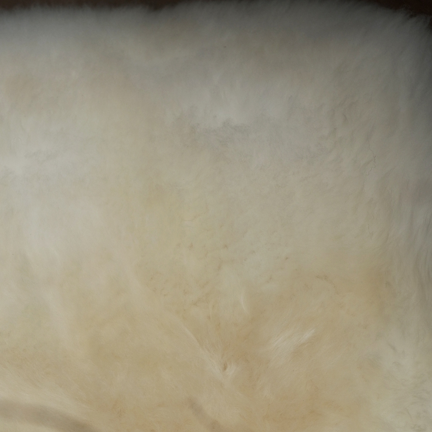 Tall Square Sheepskin Pouffe in Natural White