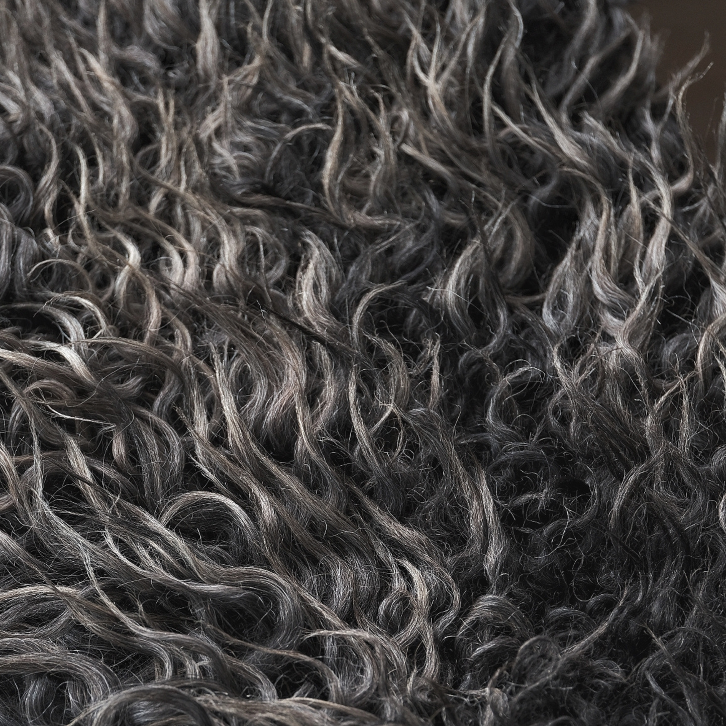 TÙS - Waternish Croft - The Gold