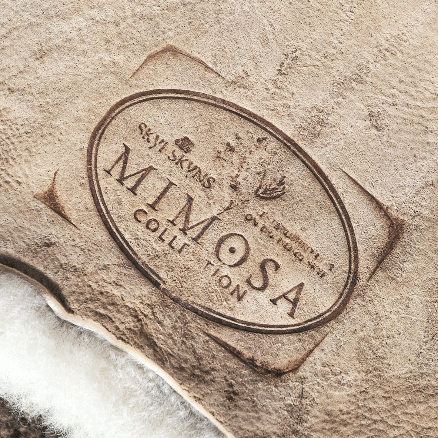 Mimosa Stirlingshire Large White