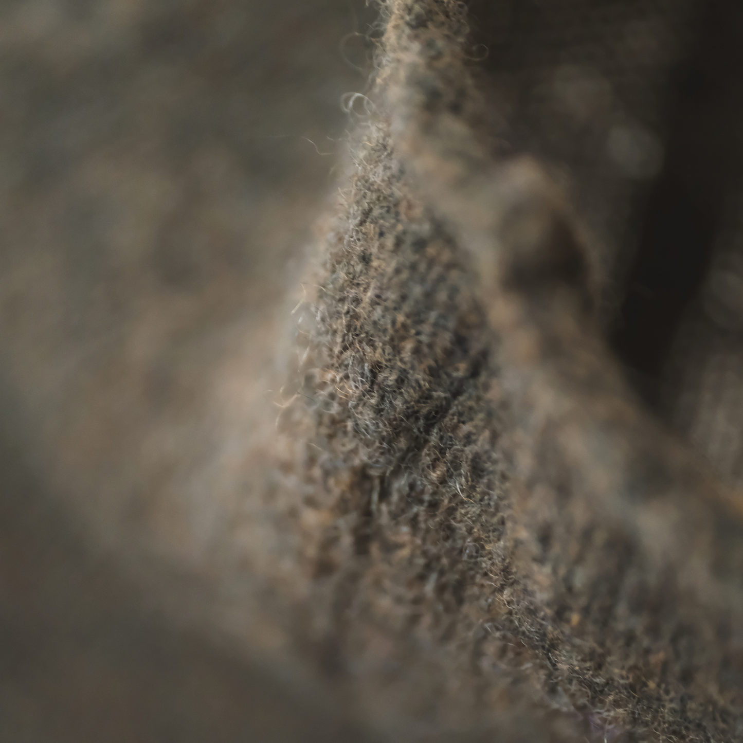 Corry Raglan Seaweed