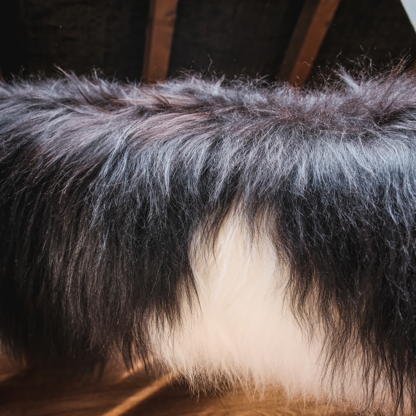 Icelandic Spot Sheepskin Rug / Throw