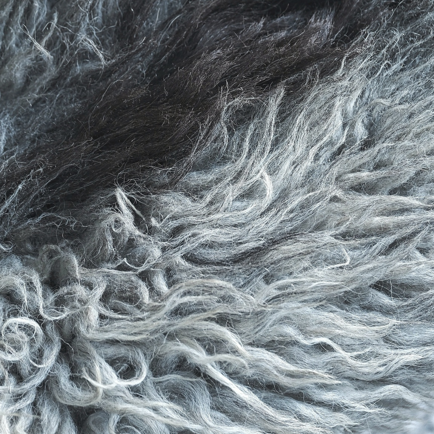 TÙS - Waternish Croft - The Highland