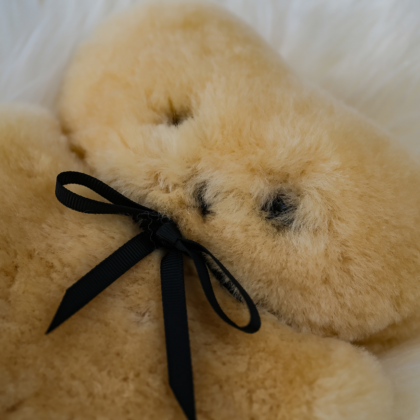 Flatout Bear Baby Honey