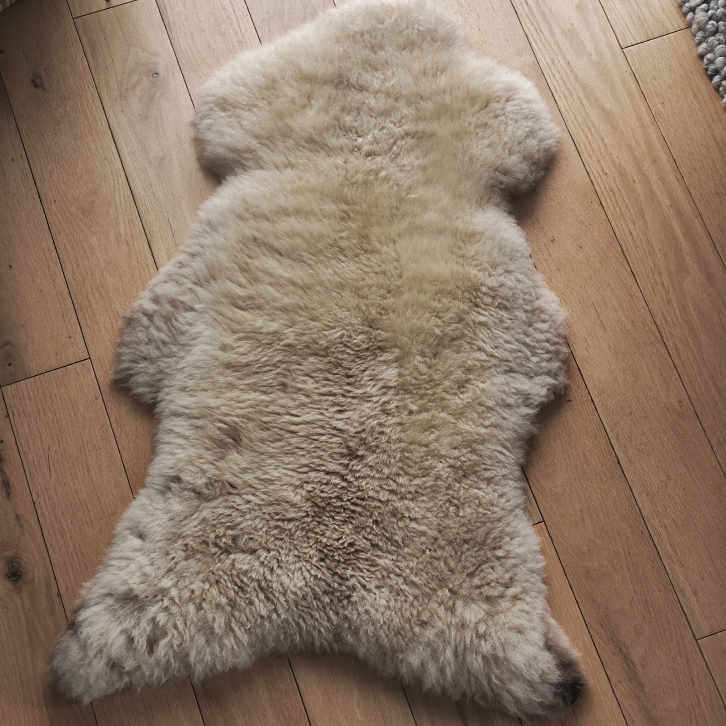 Mimosa Stirlingshire Large White