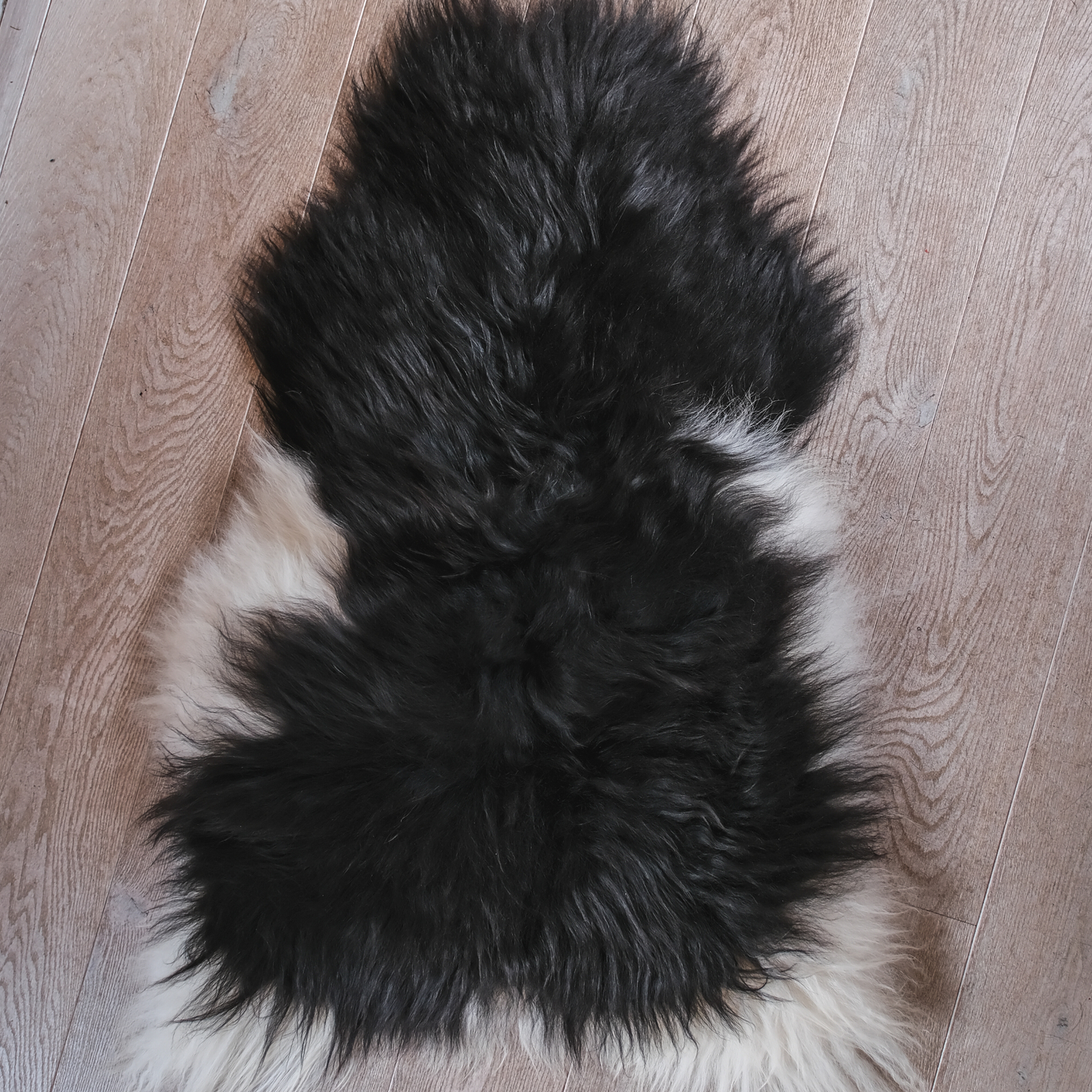 Icelandic Spot Sheepskin Rug / Throw