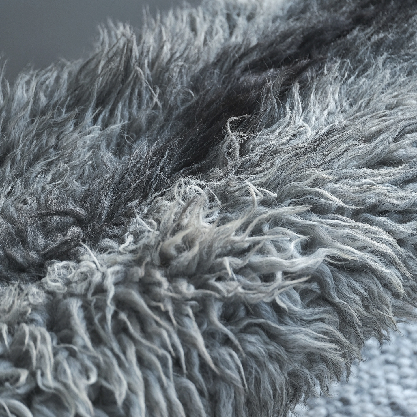 TÙS - Waternish Croft - The Highland