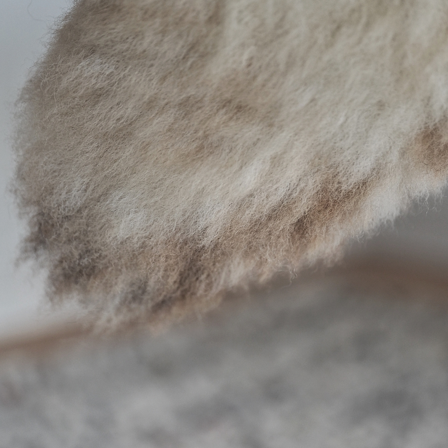 Mimosa Stirlingshire Medium White