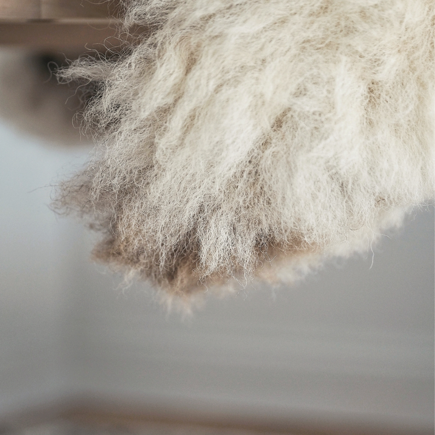 Mimosa Stirlingshire Large White