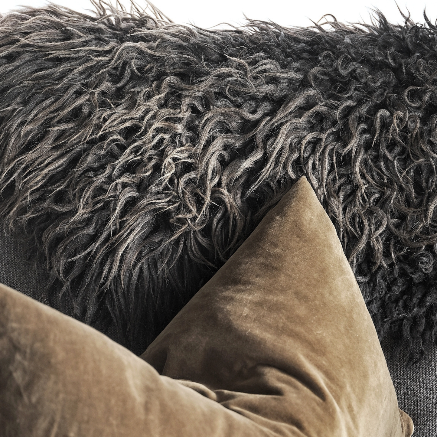 TÙS - Waternish Croft - The Gold