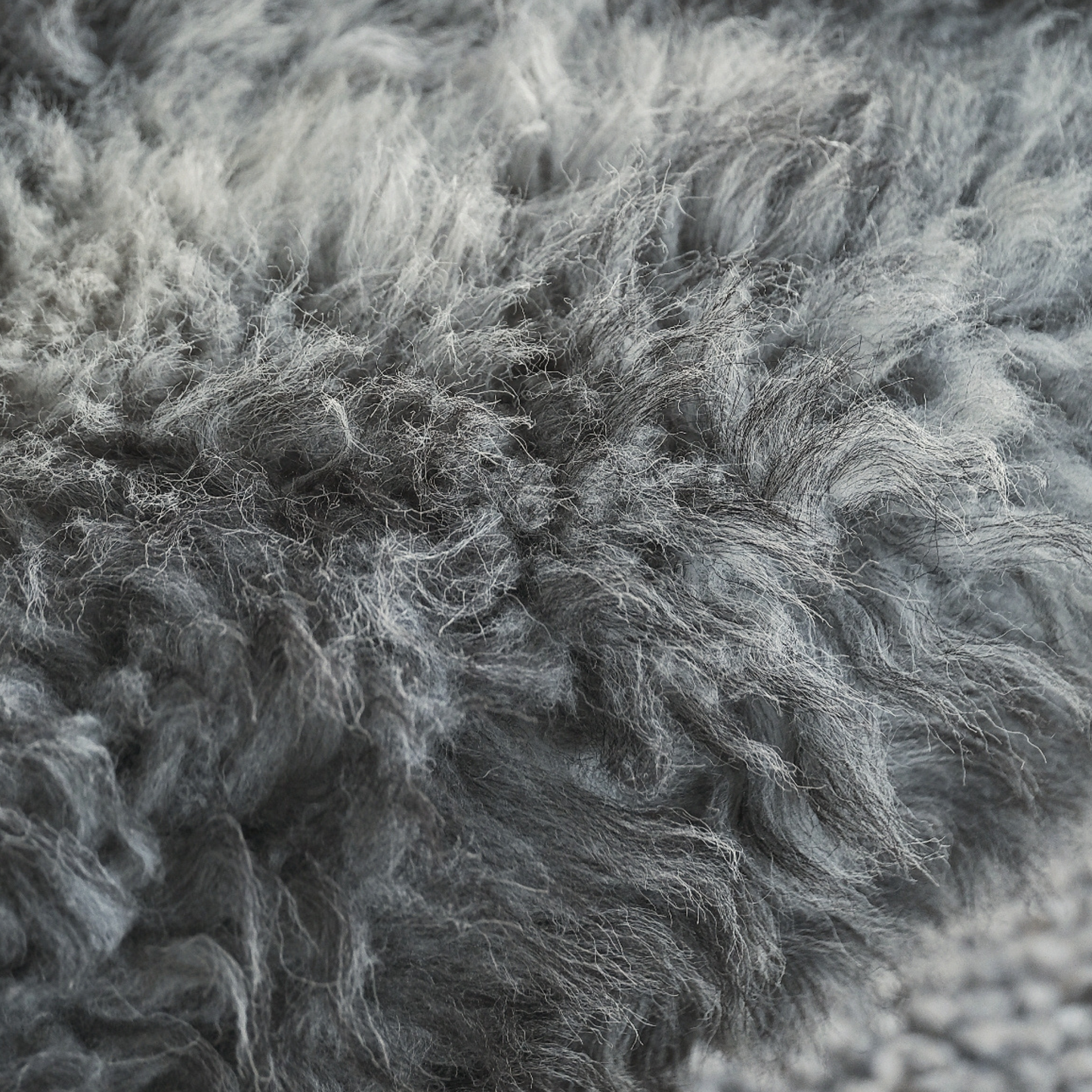 TÙS - Waternish Croft - The Grey