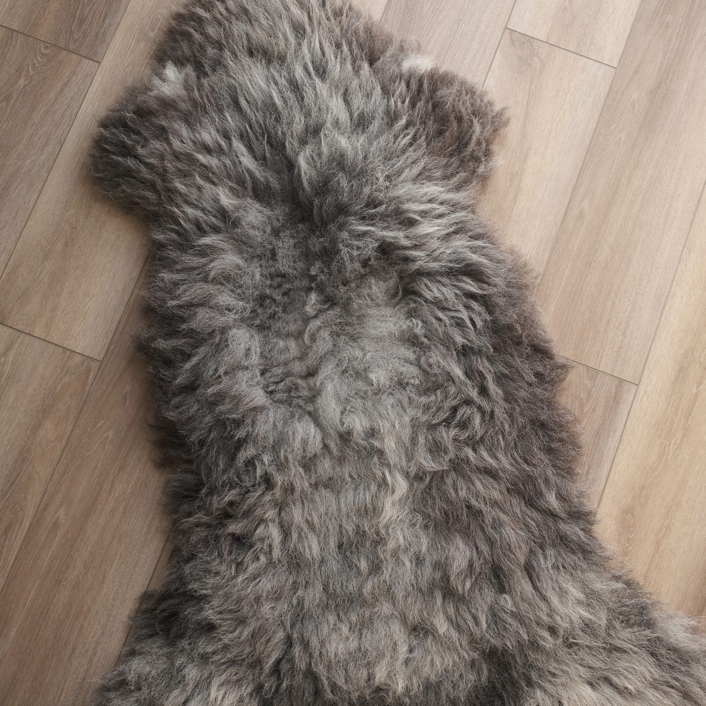 MIMOSA HERDWICK (TÙS - MILLBECK FARM)