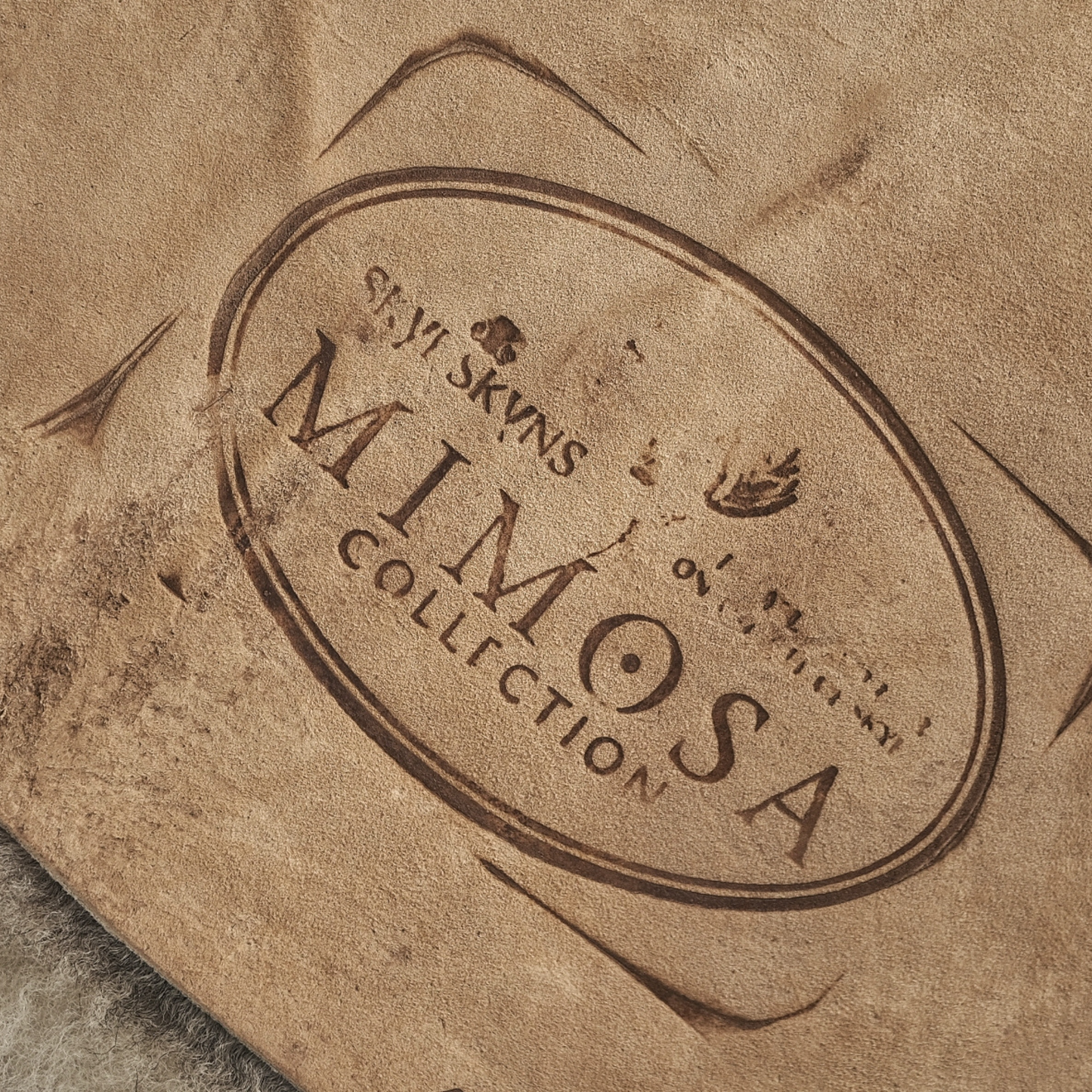 Mimosa Stirlingshire Spotted