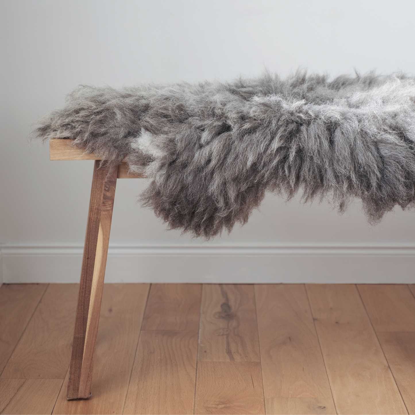 MIMOSA HERDWICK (TÙS - MILLBECK FARM)