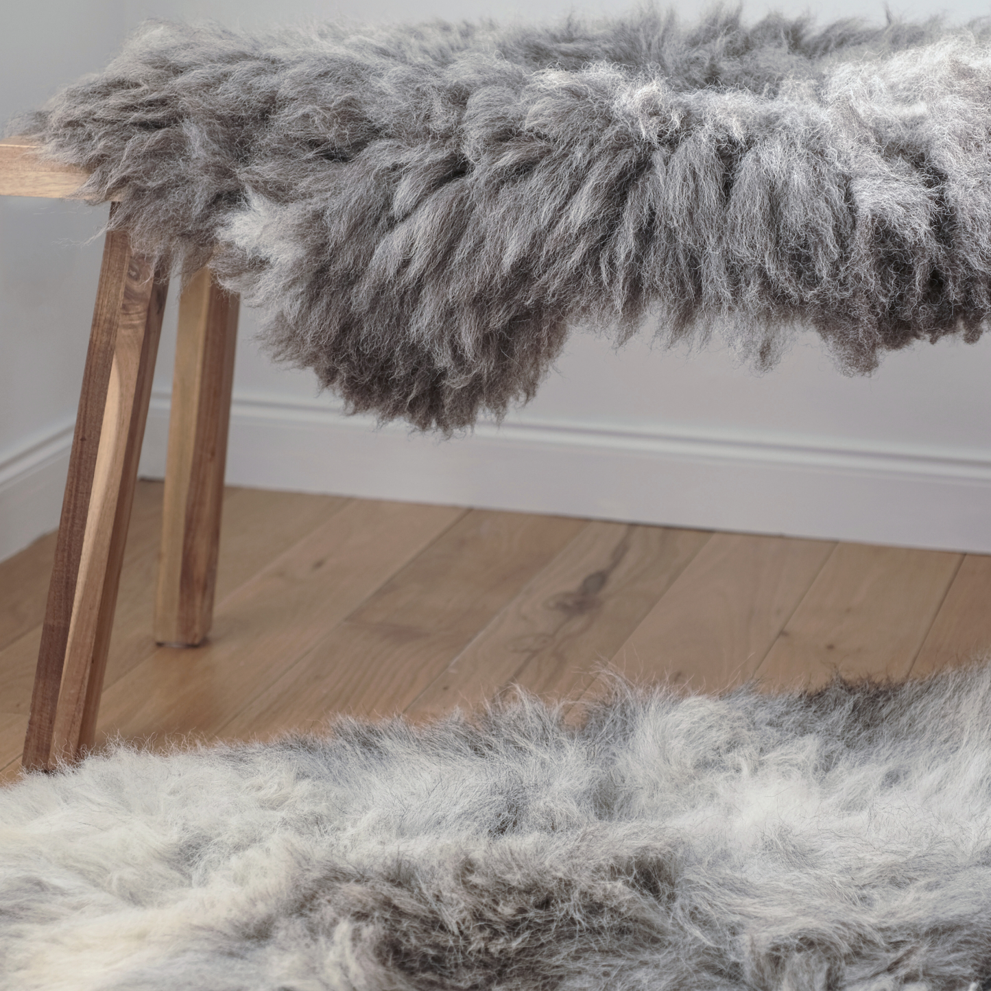 MIMOSA HERDWICK (TÙS - MILLBECK FARM)