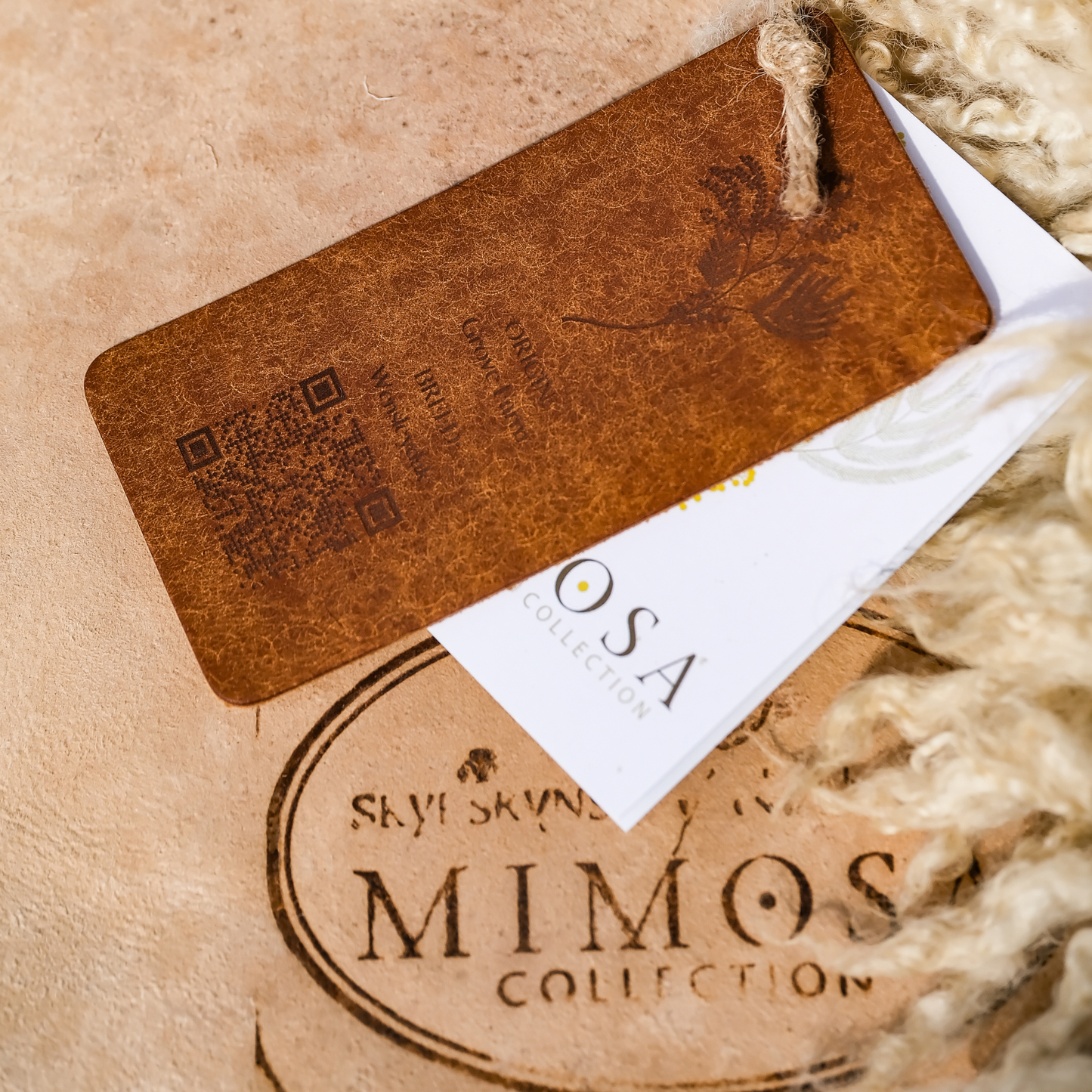 Mimosa Wensleydale (Tùs - Grove Farm)