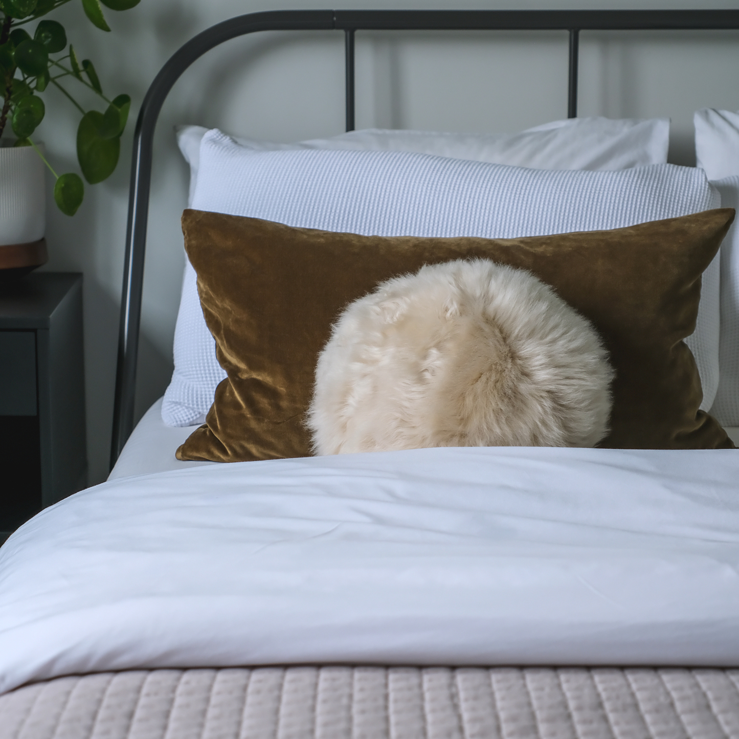 Dot Cushion (Choice of Colours)