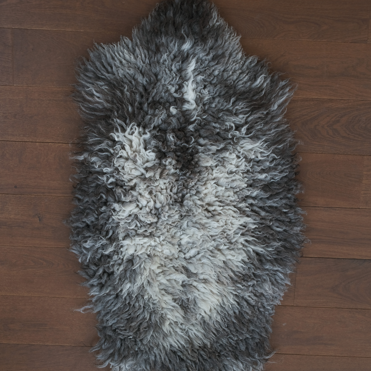 TÙS - Waternish Croft - Curly Brown