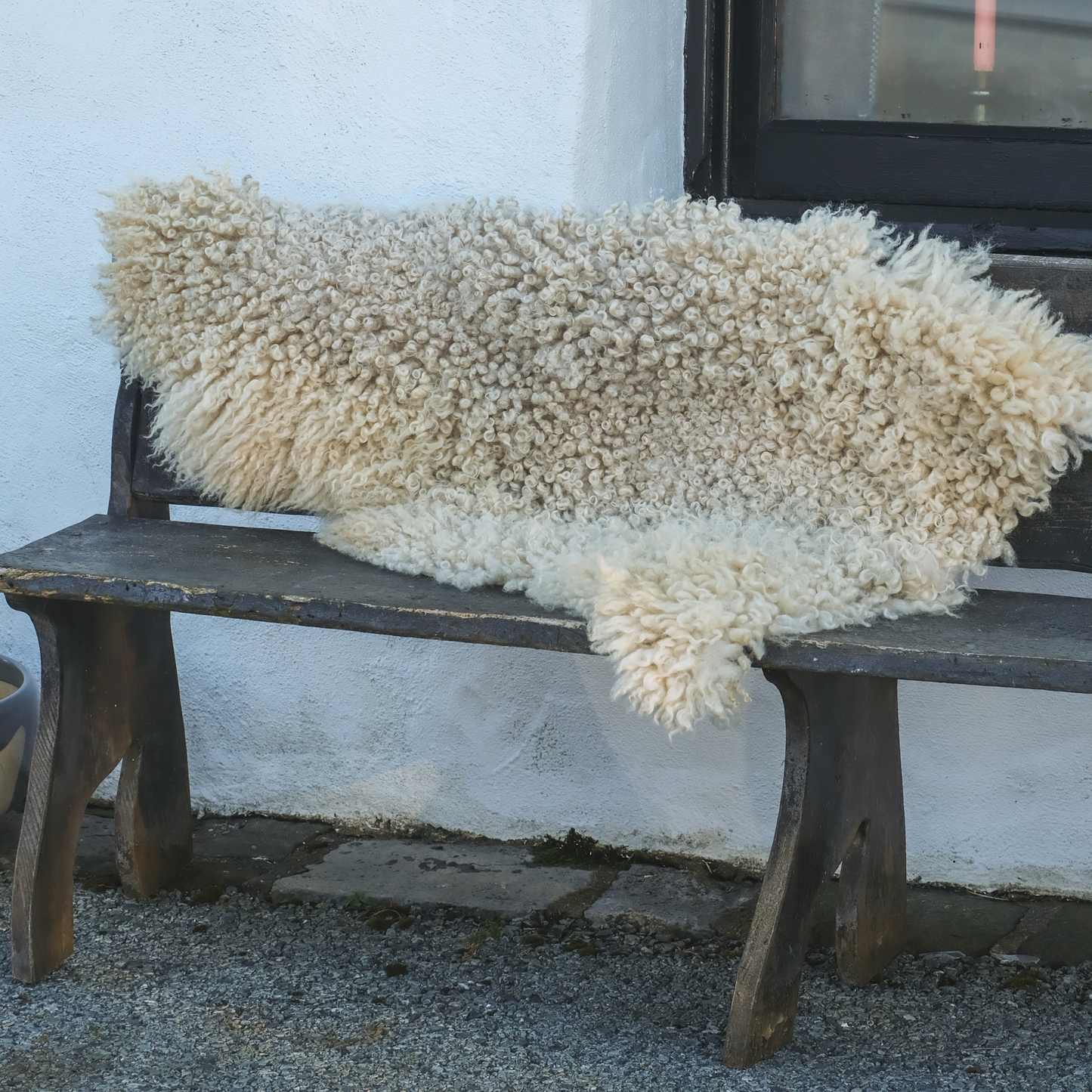 MIMOSA GOTLAND (TÙS - WATERNISH CROFT)