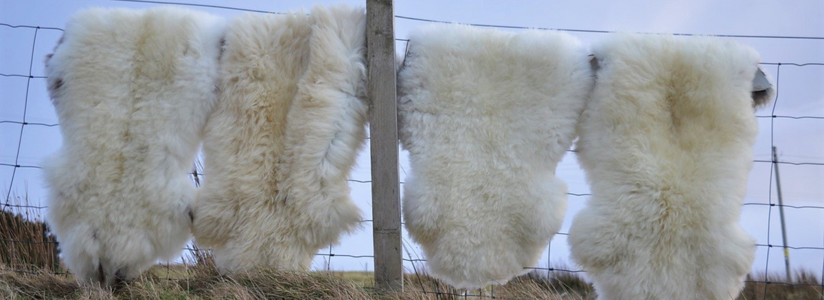 How to clean a sheepskin rug: our expert guide | Skyeskyns